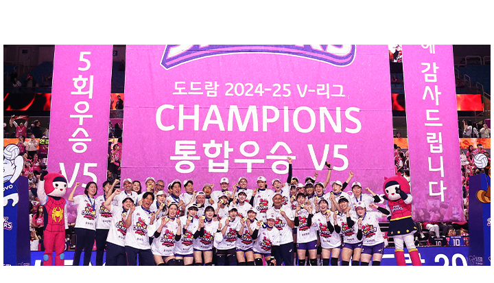 핑크스파이더스 메인 비주얼 이미지